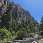 Riki on the Cimarron