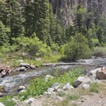 Riki on the Cimarron