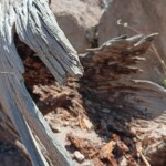 Goblin Cathedral