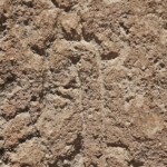 Petroglyph