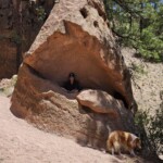 Riki in hole