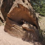 Riki in hole