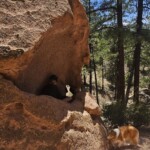 Riki in hole