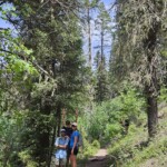 Along trail