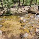 Cave Creek crossing