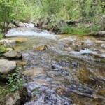 Cave Creek