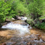 Stream
