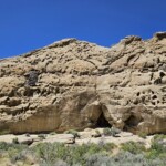 White Mountain Petroglyphs