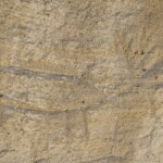 White Mountain Petroglyphs