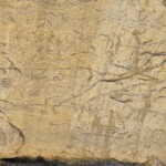 White Mountain Petroglyphs