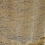 White Mountain Petroglyphs