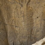 White Mountain Petroglyphs