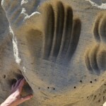White Mountain Petroglyphs