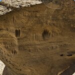 White Mountain Petroglyphs