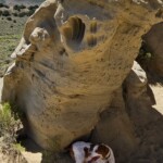 White Mountain Petroglyphs