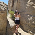 White Mountain Petroglyphs