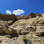 White Mountain Petroglyph site