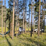 Camp along Wise River