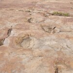 Dinosaur Trackway