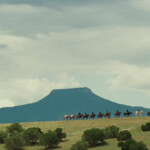 Hostiles