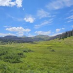San Juan meadow